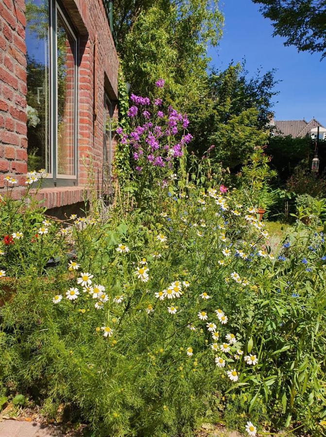 De Vliegende Vlinder Bed & Breakfast Nederweert Luaran gambar