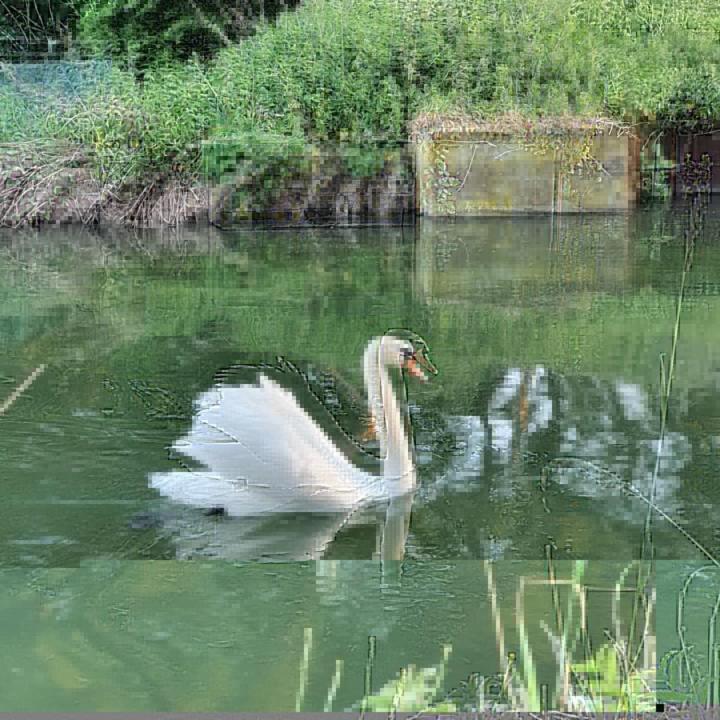De Vliegende Vlinder Bed & Breakfast Nederweert Luaran gambar