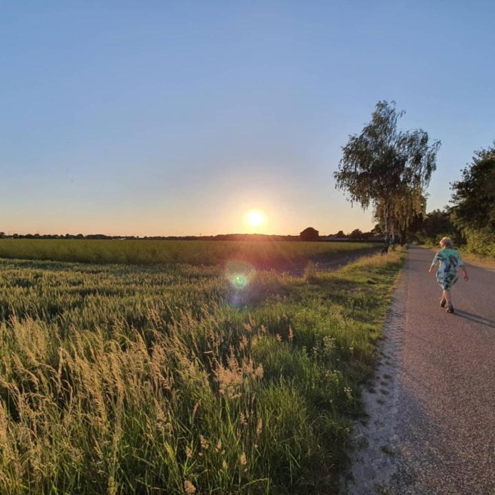 De Vliegende Vlinder Bed & Breakfast Nederweert Luaran gambar