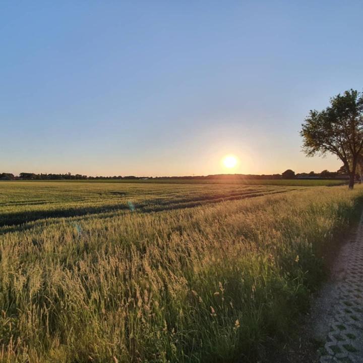 De Vliegende Vlinder Bed & Breakfast Nederweert Luaran gambar