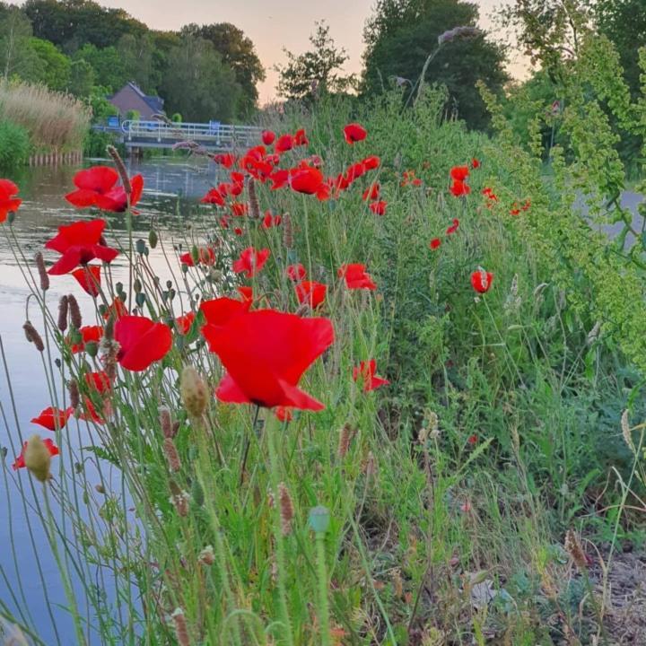 De Vliegende Vlinder Bed & Breakfast Nederweert Luaran gambar