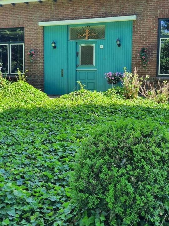 De Vliegende Vlinder Bed & Breakfast Nederweert Luaran gambar