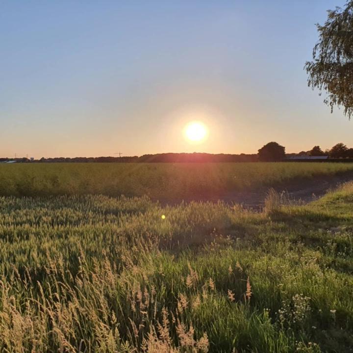 De Vliegende Vlinder Bed & Breakfast Nederweert Luaran gambar